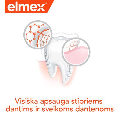 „Elmex“ iliustracija su dantų ir dantenų apsaugos motyvu bei užrašu „Visapusiška apsauga stipriems dantims ir sveikoms dantenoms“.