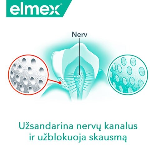 Elmex logotipas ir danties nervo mikroschema su užrašu „Užsandarina nervų kanalus ir užblokuoja skausmą“.
