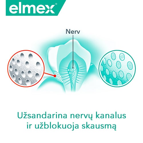 Elmex logotipas ir danties nervo mikroschema su užrašu „Užsandarina nervų kanalus ir užblokuoja skausmą“.